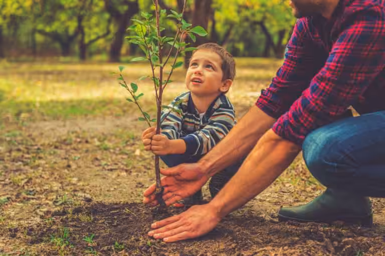 bomenplanten voor een gezond klimaat