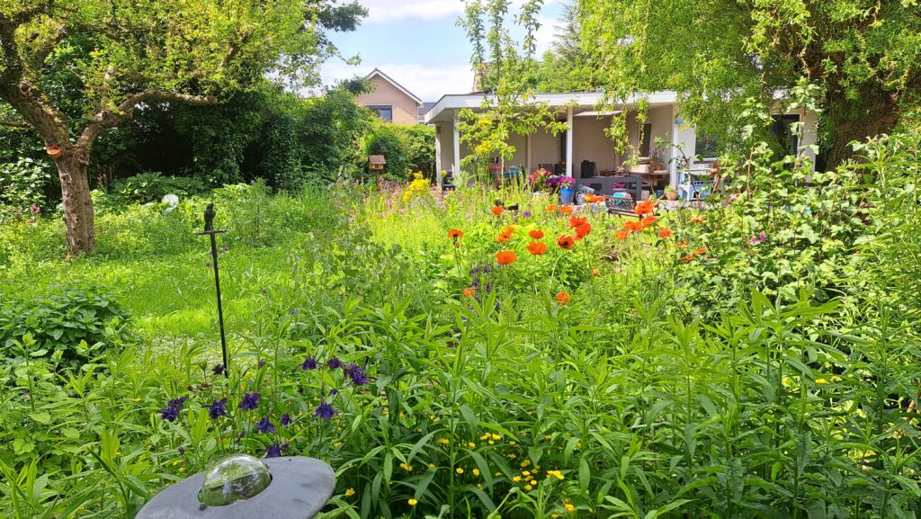 bloemenweide