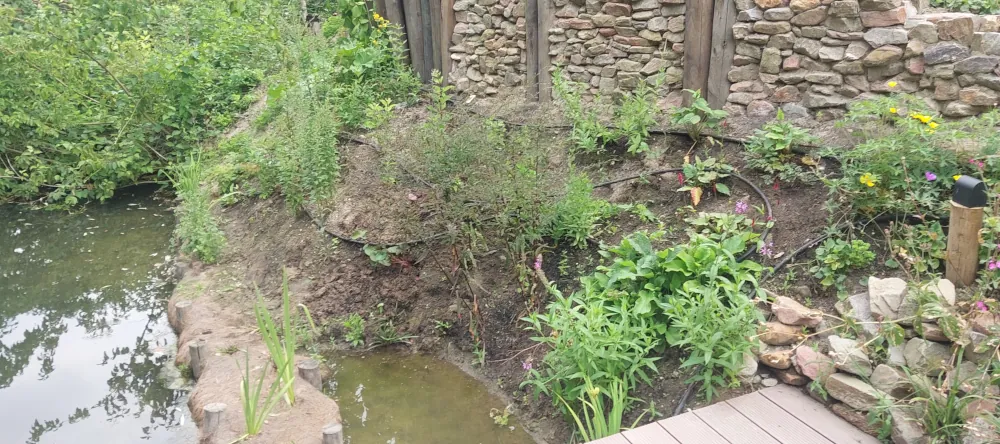 natuurlijke oever 1
