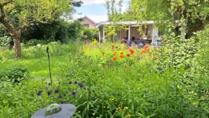wildetuin 300 mobiel